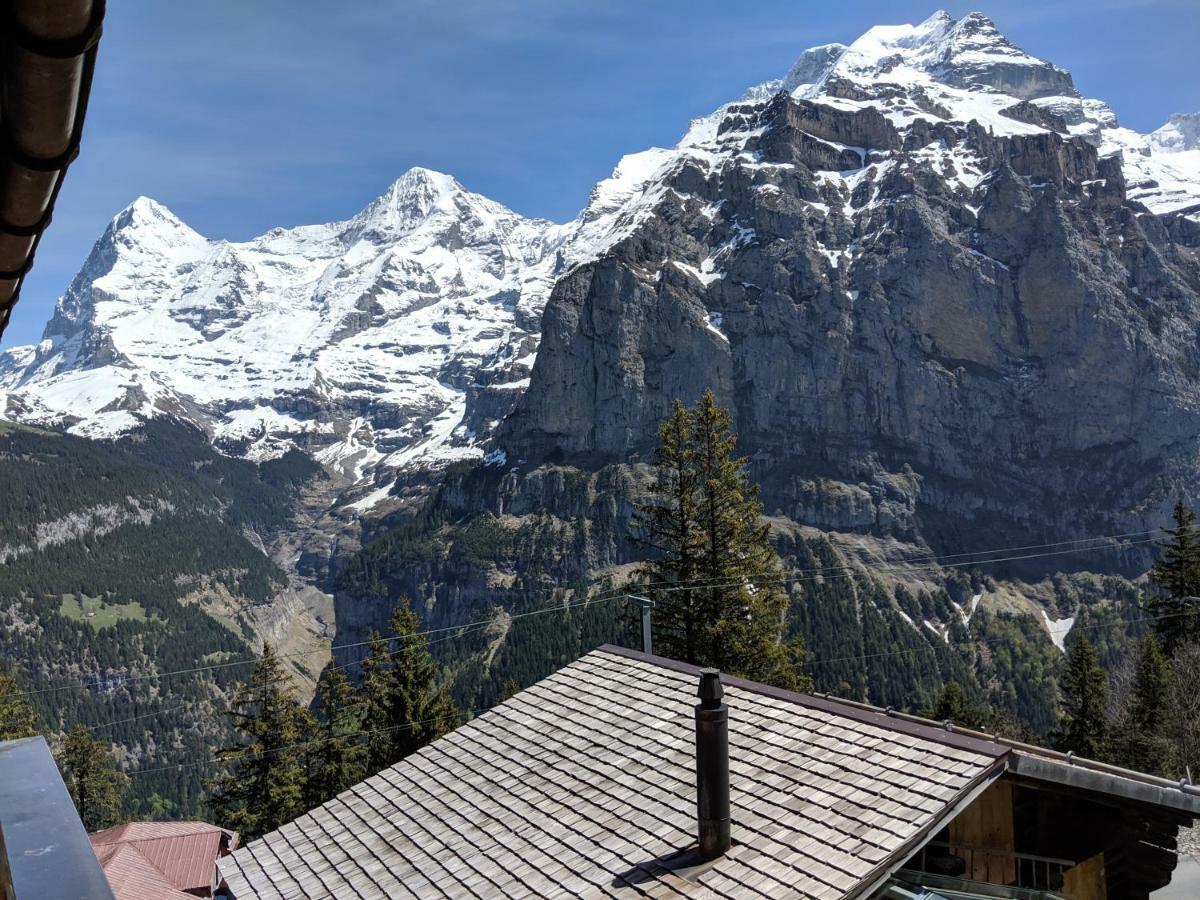 Hotel Alpenblick Muerren Exterior photo